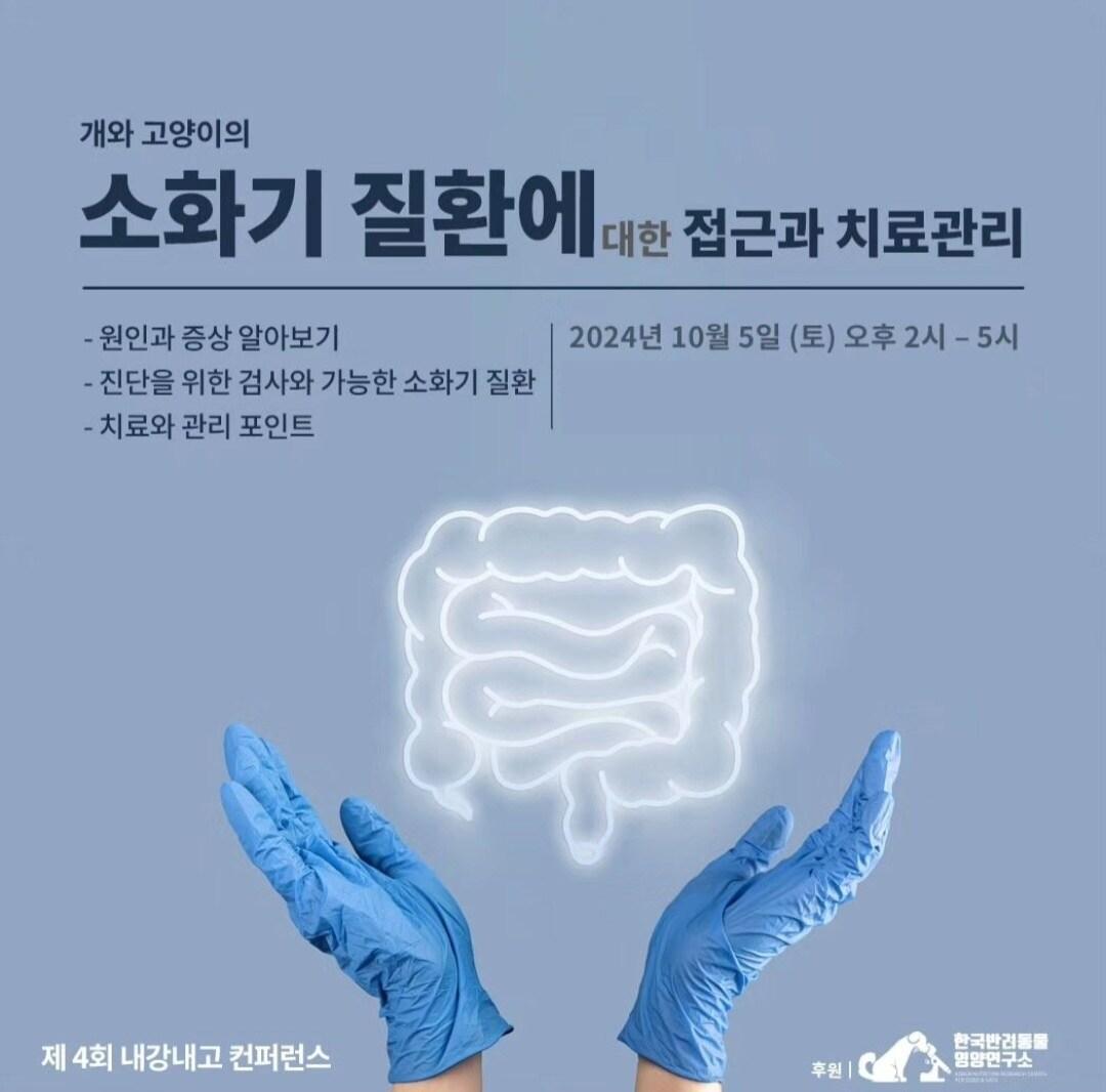 본문 이미지 - 내강내고 포스터 ⓒ 뉴스1