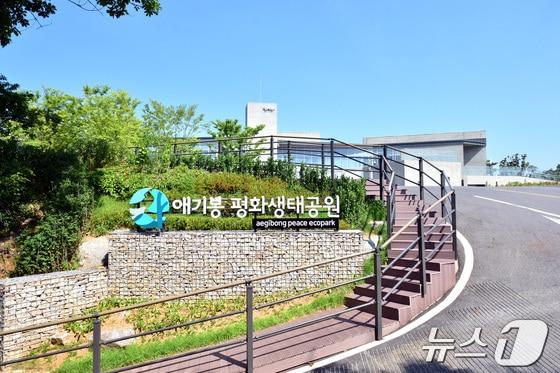 본문 이미지 - 애기봉평화생태공원/뉴스1