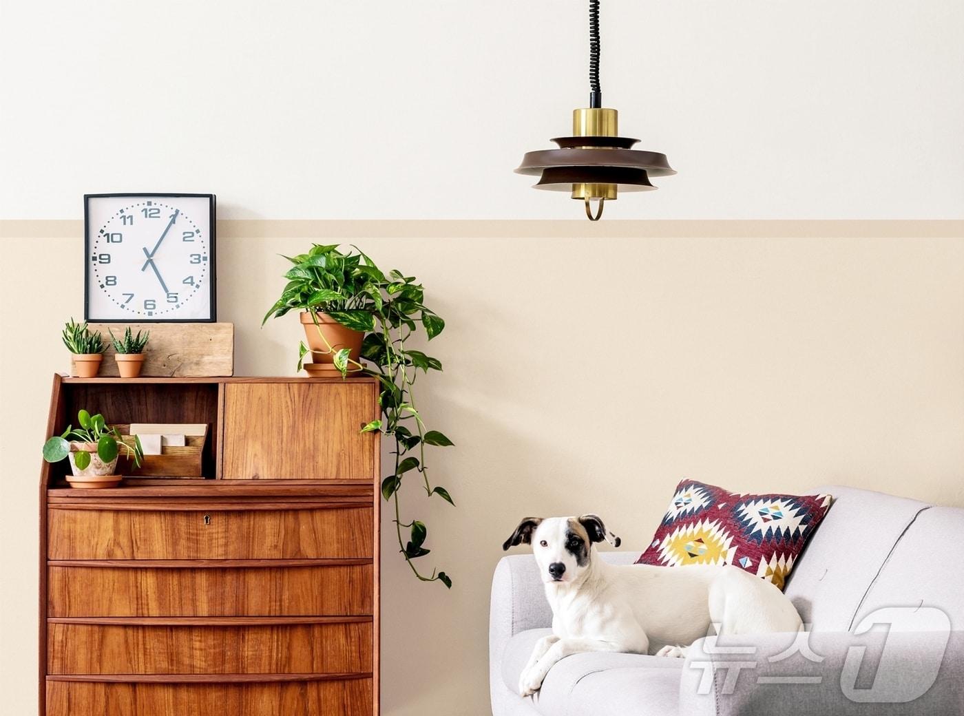 본문 이미지 - 현대L&C 반려동물 양육 가정 특화 벽지 신제품 '펫월' (현대백화점 그룹 제공)