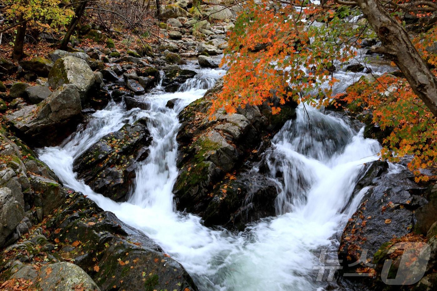 지난 29일 오후 강원 인제군 기린면 방태산 이단폭포 일대가 울긋불긋한 단풍으로 물들면서 아름다운 가을 풍경을 연출하고 있다.(인제군 제공)2024.10.30/뉴스1 ⓒ News1 윤왕근 기자