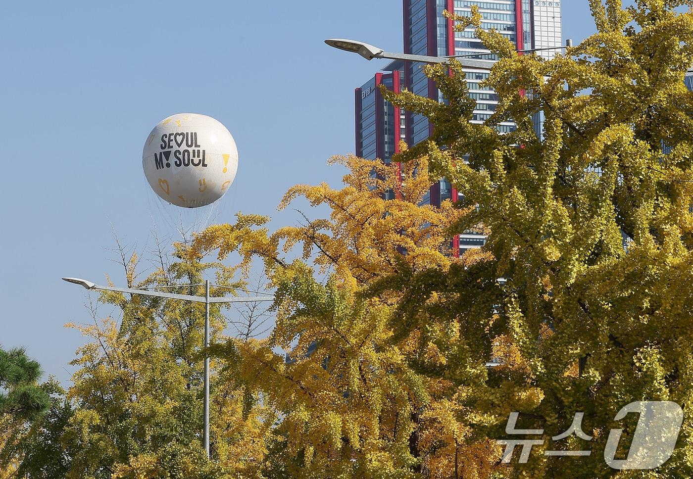 본문 이미지 - 완연한 가을 날씨를 보인 30일 오후 서울 영등포구 여의도 공원에서 노랗게 물든 은행나무 위로 시민들을 태운 계류식 가스기구 '서울달'이 떠오르고 있다. 2024.10.30/뉴스1 ⓒ News1 김진환 기자
