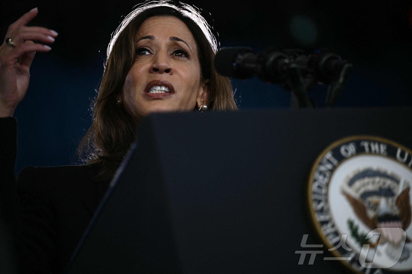 본문 이미지 - 미국 민주당 대선 후보인 카멀라 해리스 부통령 ⓒ AFP=뉴스1