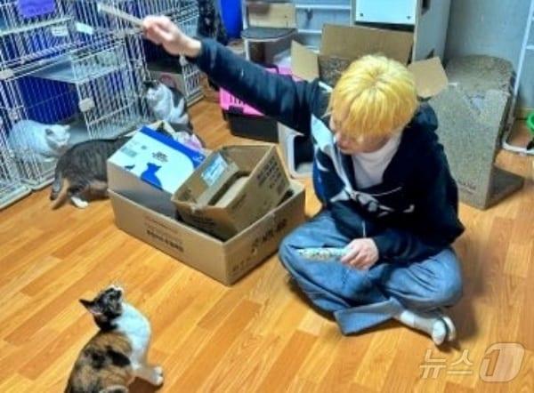 본문 이미지 - 길냥이와 동고동락 보호소에서 봉사를 하고 있는 조광일(단체 제공) ⓒ 뉴스1