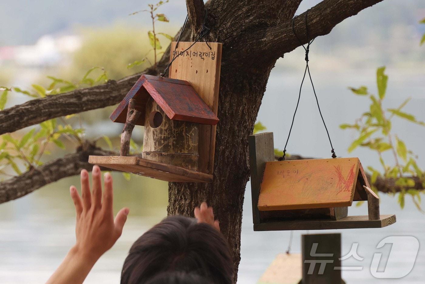 대전 시민들이 대청호 치유의 섬에 자연 친화 새 둥지를 설치하고 있다. (대전 동구 제공)/뉴스1