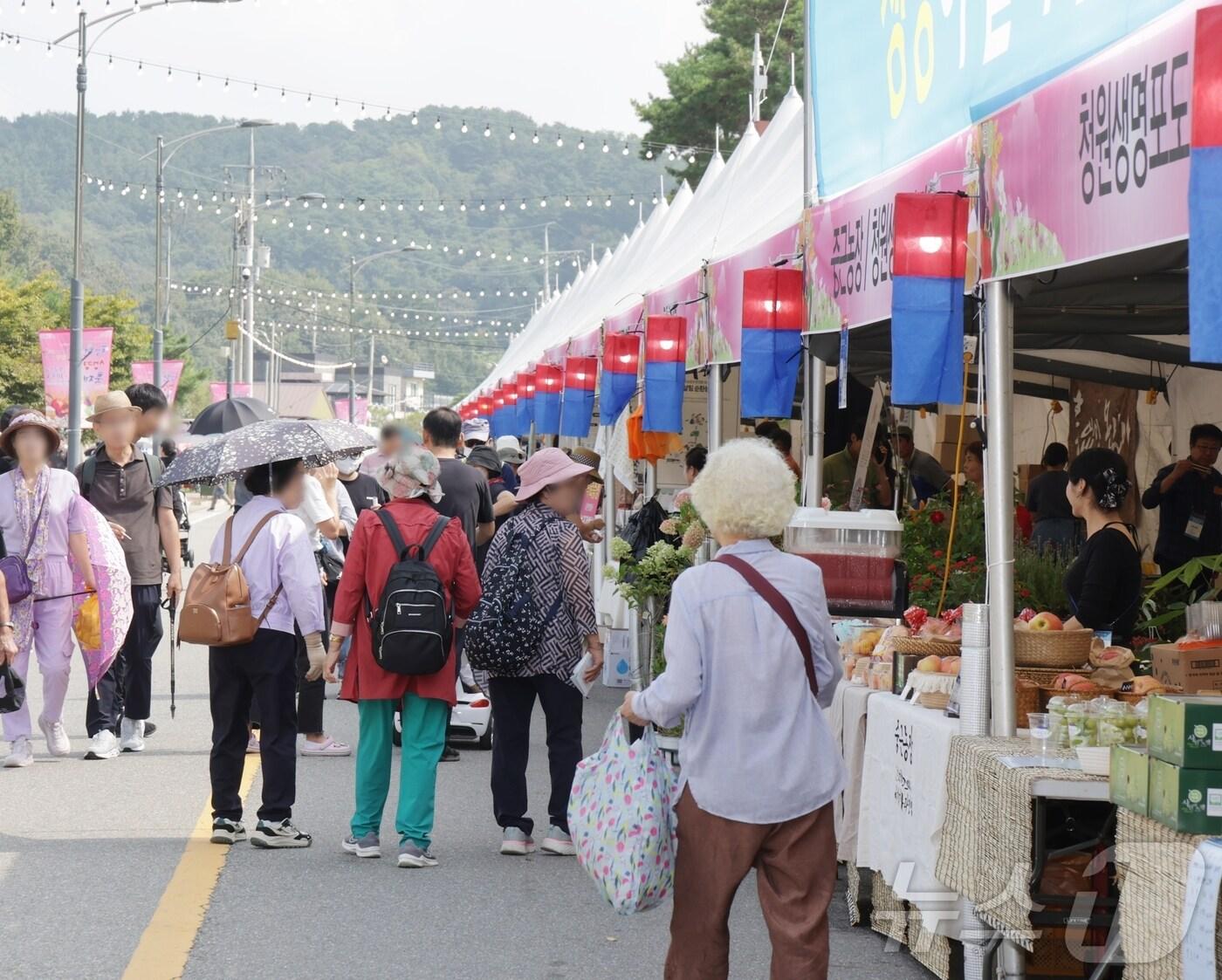 본문 이미지 - 축제 현장(청주시 제공).2024.10.6/뉴스1 