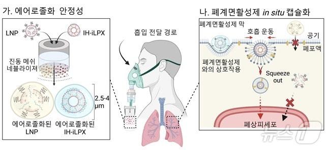 본문 이미지 - 흡입 최적화 지질 나노 복합체의 mRNA 흡입 전달 전략 모식도.(KAIST 제공)/뉴스1