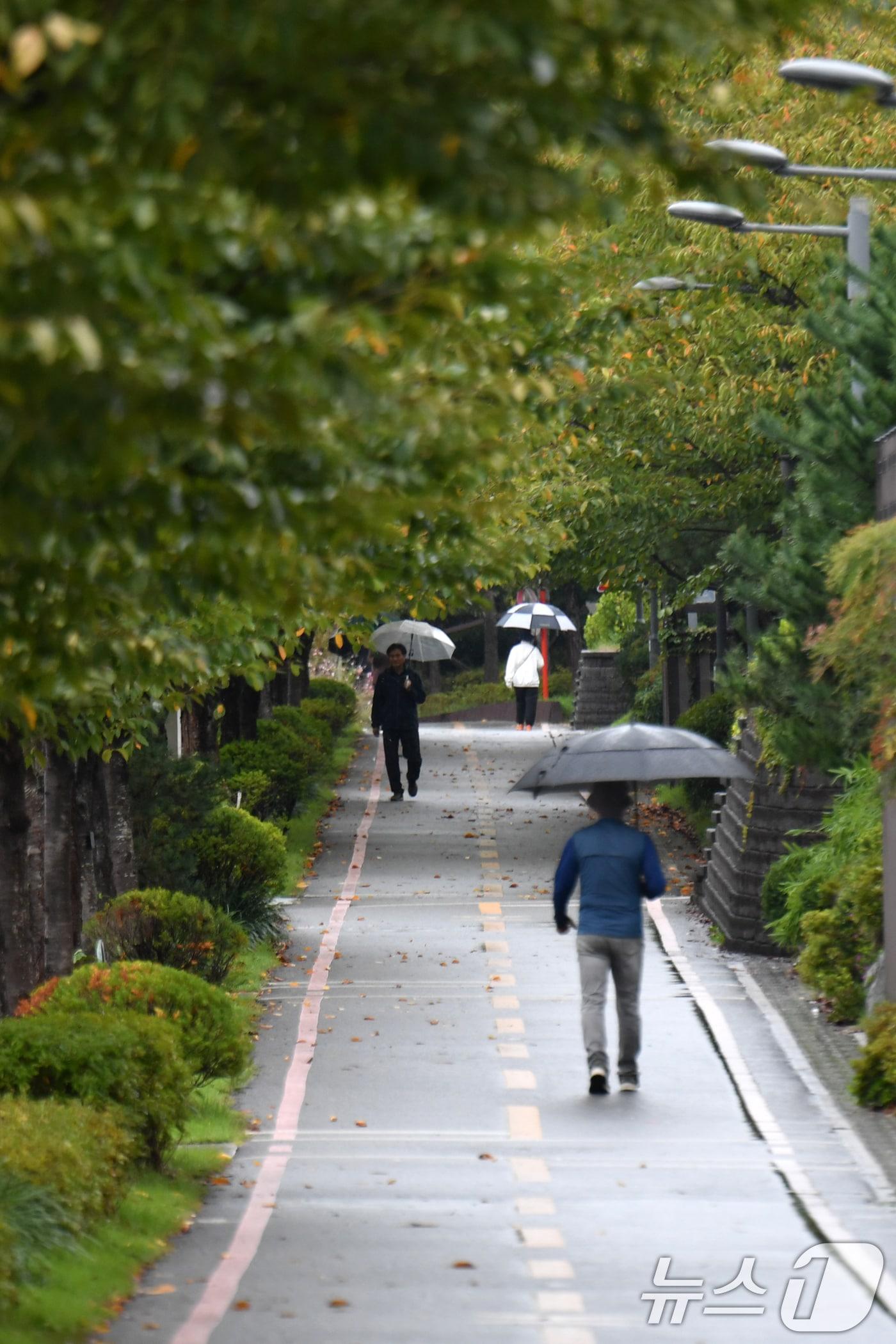 본문 이미지 - 절기상 한로&#40;寒露&#41;를 하루 앞둔 7일 오전 경북 포항시 남구 철길숲에서 우산을 쓴 시민들이 걸어가고 있다. 2024.10.7/뉴스1 ⓒ News1 최창호 기자