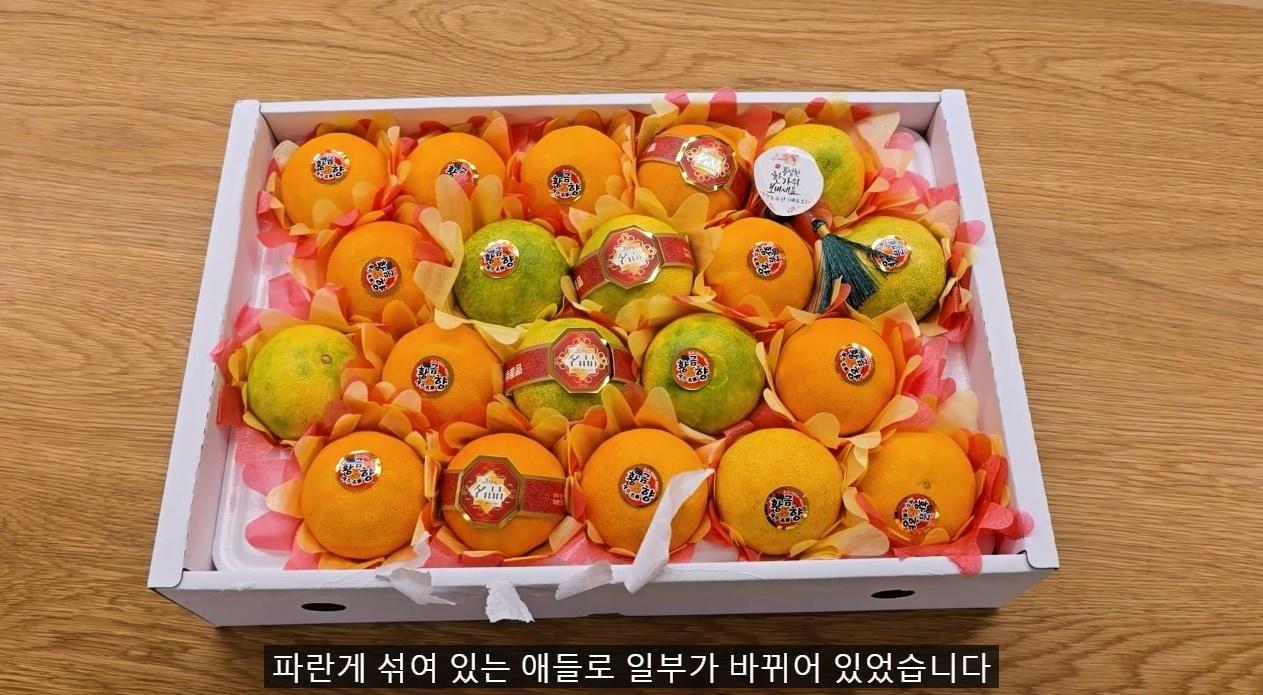 본문 이미지 - (유튜브 채널 '더들리' 갈무리)