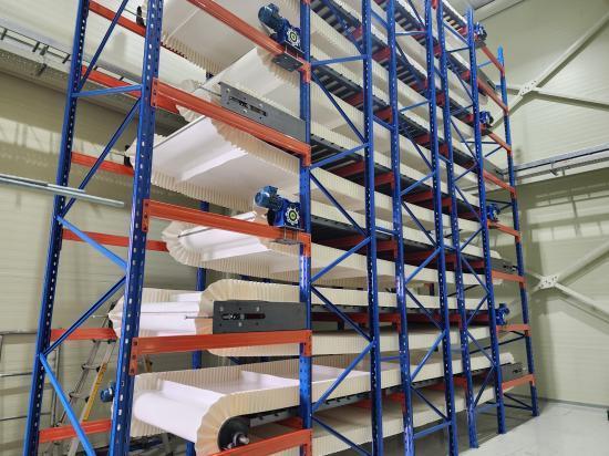 본문 이미지 - 푸디웜 제공