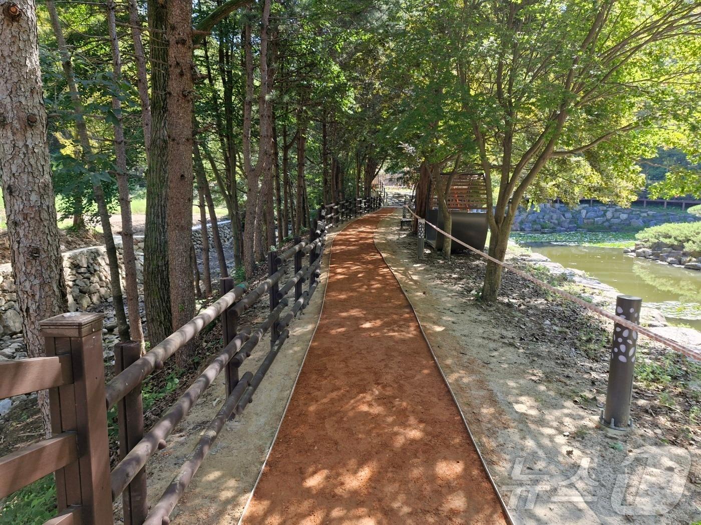 본문 이미지 - &#39;걷기 여행&#39; 열풍에 발맞춰 전북자치도가 도내 전 시군에 조성 중인 &#39;맨발걷기길&#39; 모습.&#40;전북자치도 제공&#41;/뉴스1 