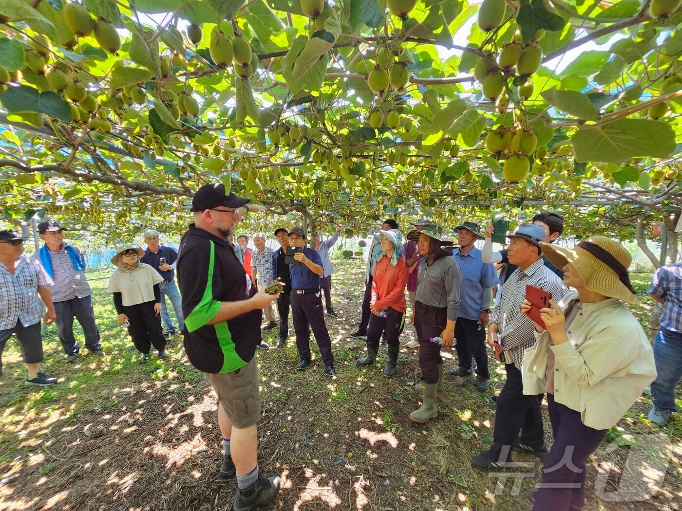 본문 이미지 - 지난 6월 경남으로 초빙된 뉴질랜드 키위 생산 전문가가 도내 농업인들에게 키위 생산 기술을 교육하고 있다.(경남도 제공)