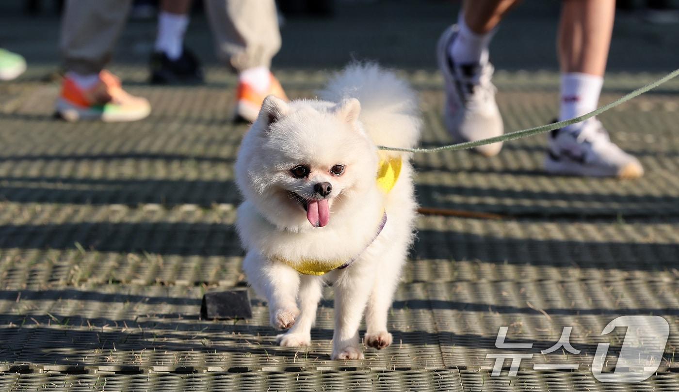 &#40;자료사진&#41; /뉴스1 ⓒ News1 김성진 기자