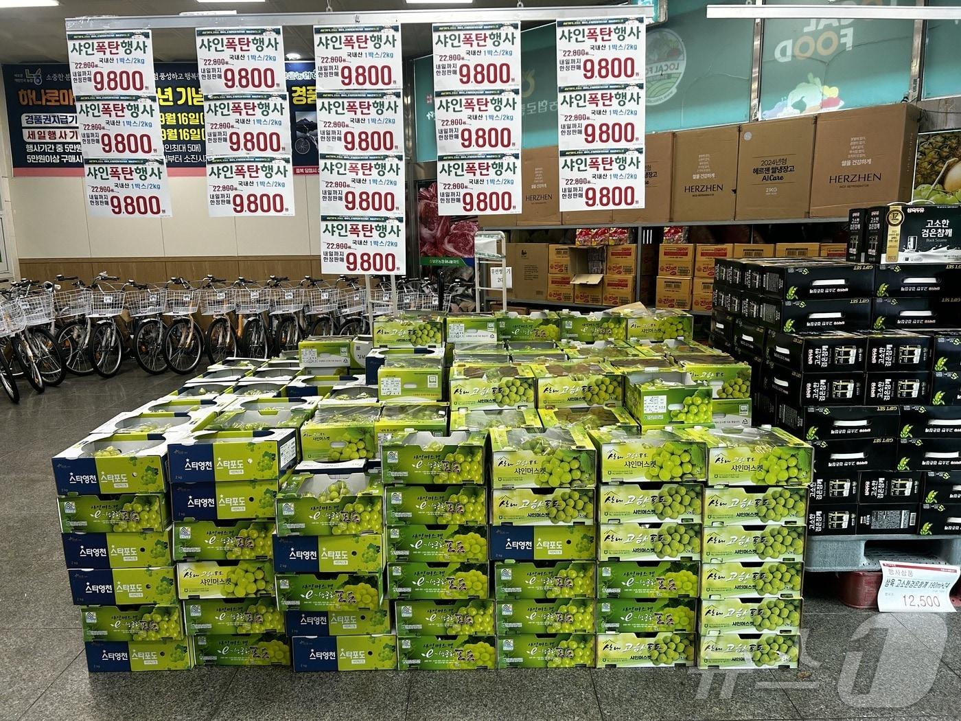 본문 이미지 - 보은농협 하나로마트 샤인머스캣 포도 할인 행사 /뉴스1