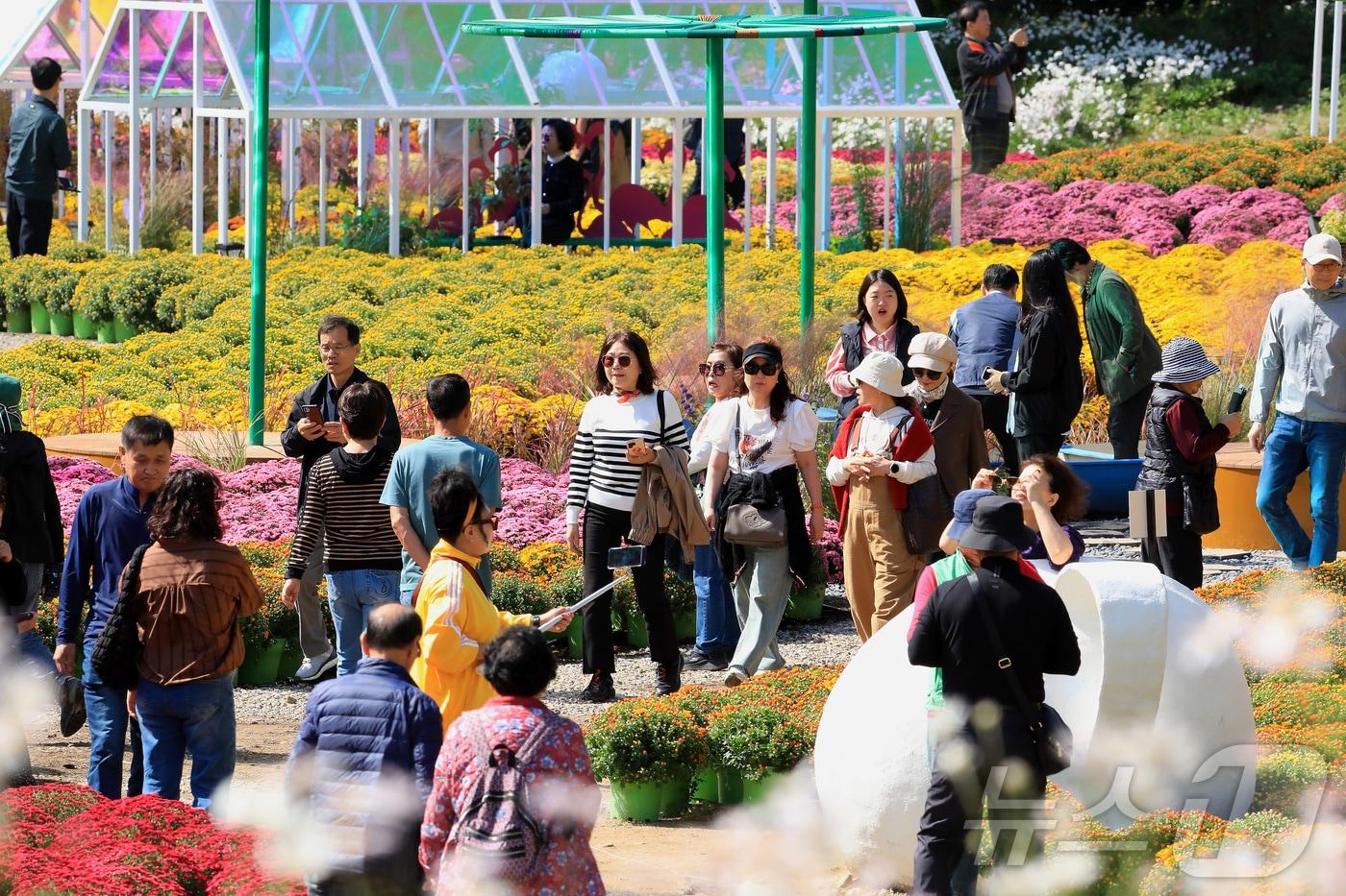 본문 이미지 - 9일 강원 인제 북면 용대리에서 열린 제6회 인제 가을꽃축제장을 찾은 관람객들이 가을꽃 구경을 하며 즐거운 시간을 보내고 있다.  (인제군 제공) 2024.10.9/뉴스1 