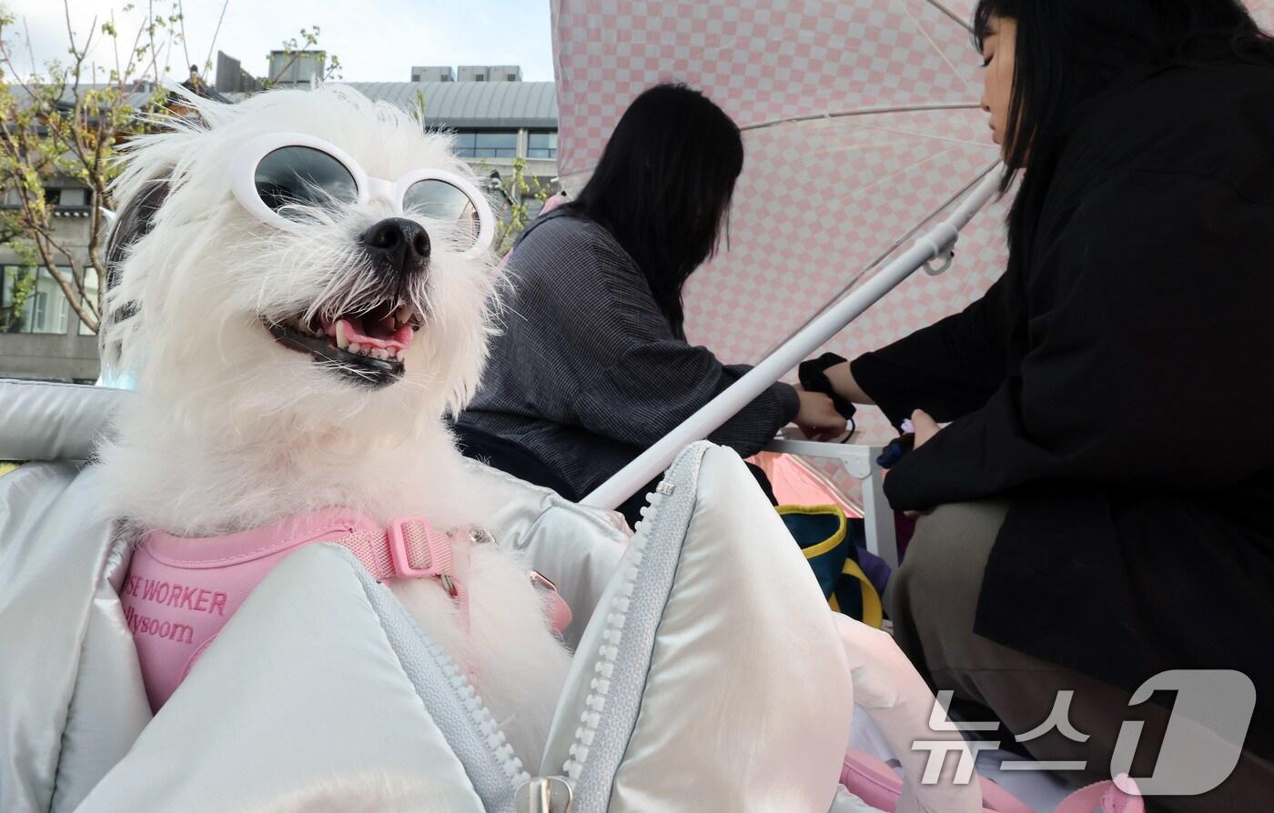 한글날 연휴인 9일 서울 종로구 서울공예박물관 앞 야외마당에서 열린 '펫크닉' 프로그램에서 반려인들이 반려견을 위해 장난감 공을 만들고 있다. 2024.10.9/뉴스1 ⓒ News1 이동해 기자