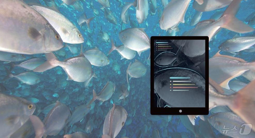 본문 이미지 - AI를 활용한 수중양식&#40;출처:www.innovasea.com&#41;