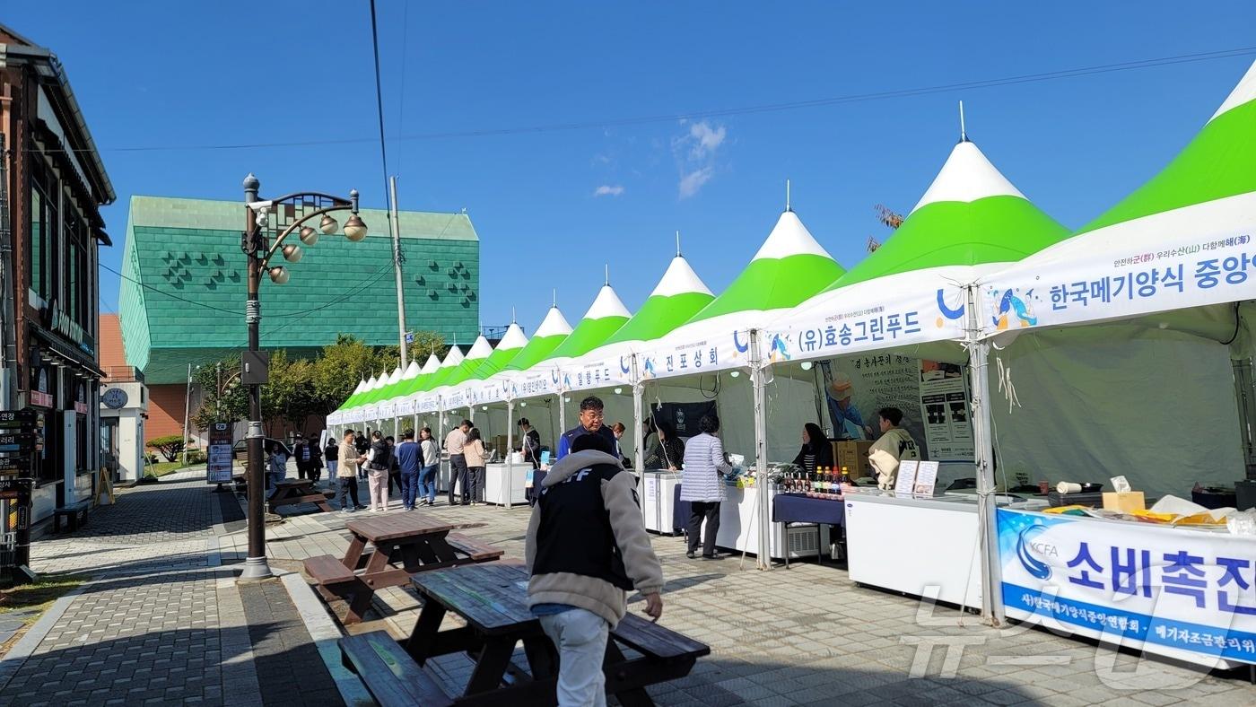 본문 이미지 - 군산시가 1~2일 이틀간 근대역사박물관 주차장 앞에서 수산물 직거래장터를 연다.(군산시 제공)2024.11.1/뉴스1