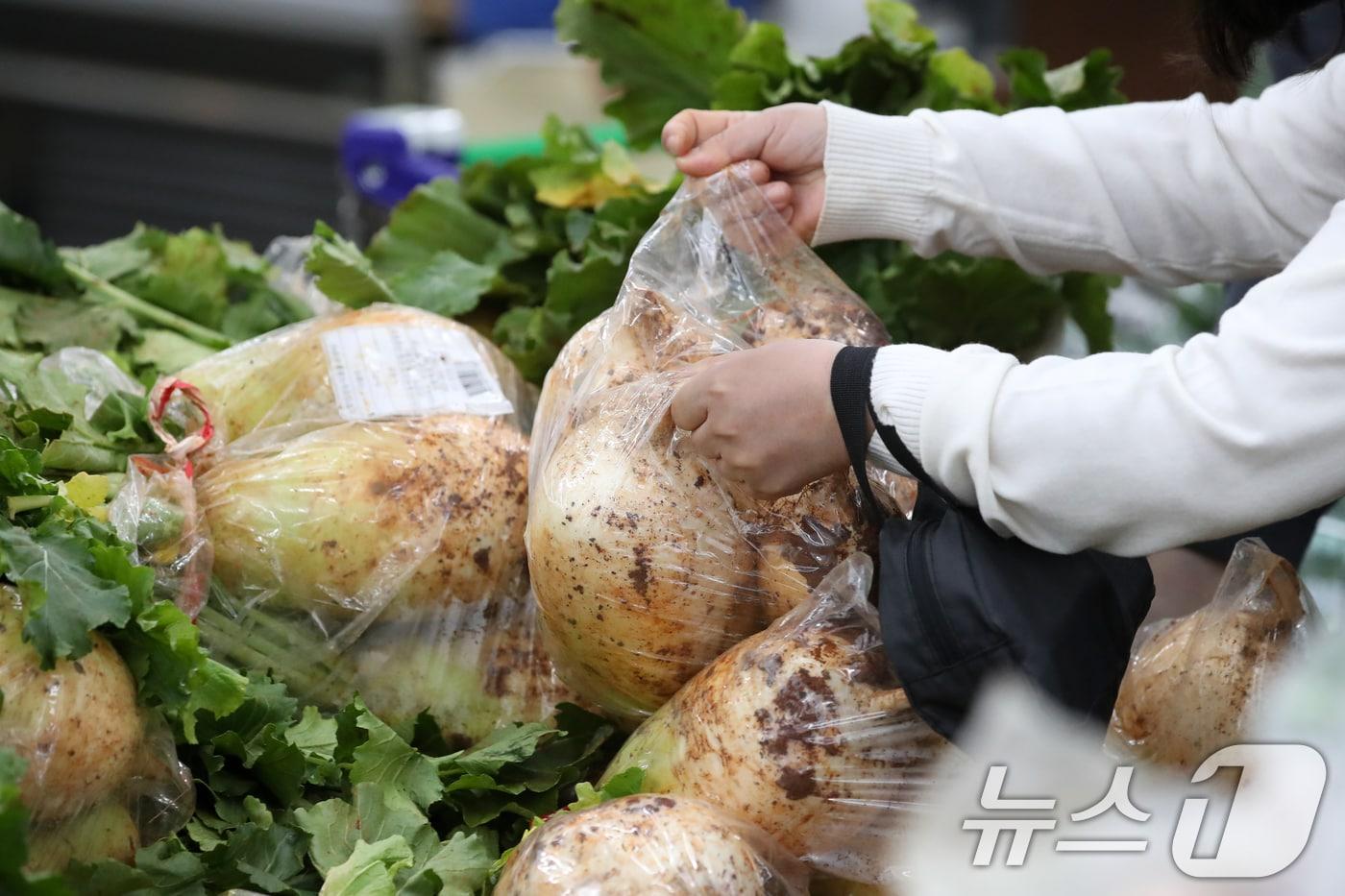  서울 서초구 하나로마트 양재점을 찾은 시민들이 장을 보고 있다. ⓒ News1 DB