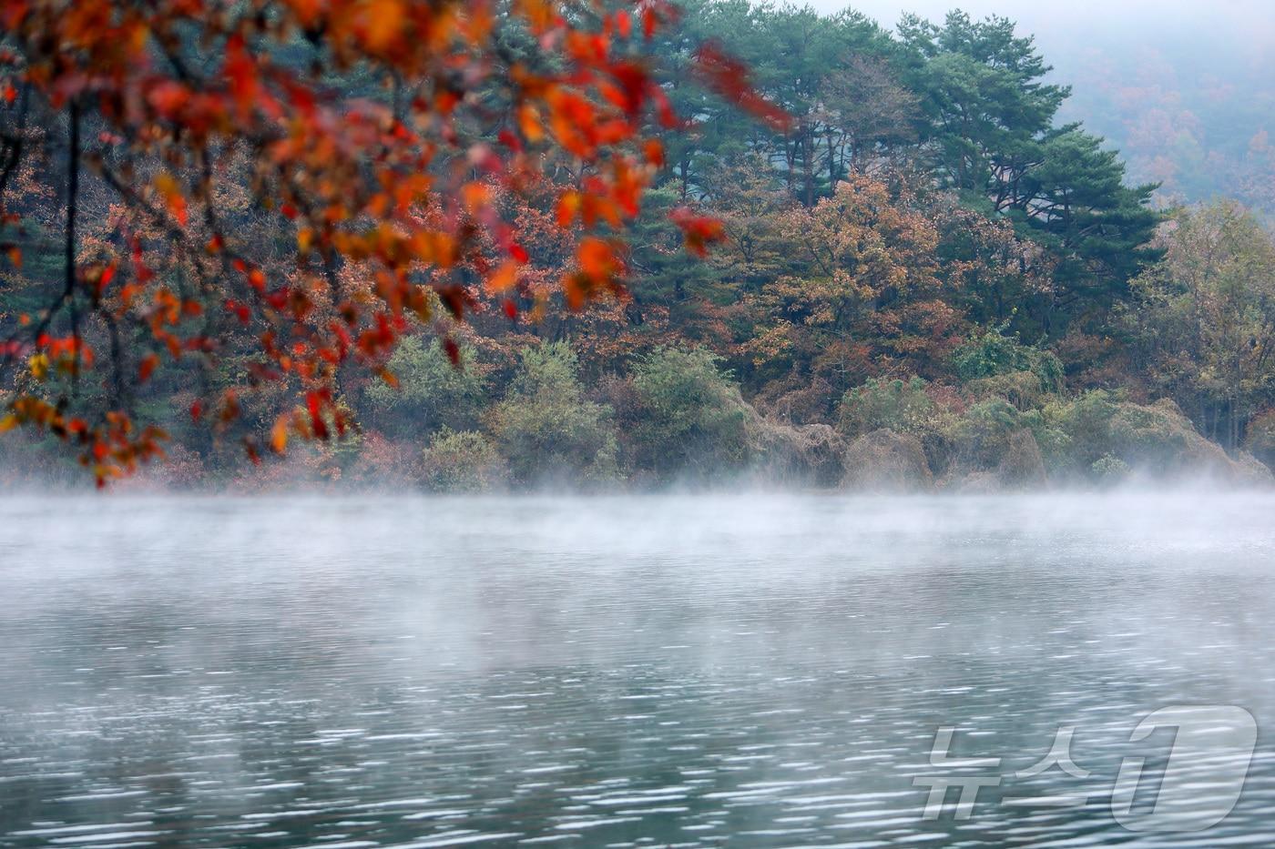 10일 오전 강원 인제군 소양호가 급격히 떨어진 기온의 영향으로 피어오른 물안개가 오색 단풍과 어우러지며 장관을 연출하고 있다.(인제군 제공) 2024.11.10/뉴스1 