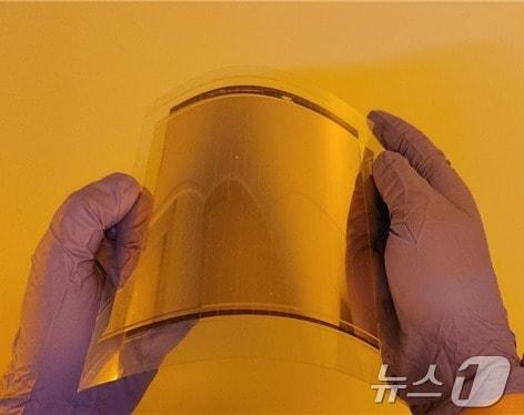 본문 이미지 - 롤투롤 코팅 공정을 활용해 제작한 페로브스카이트 태양전지 모듈. (화학연 제공) /뉴스1