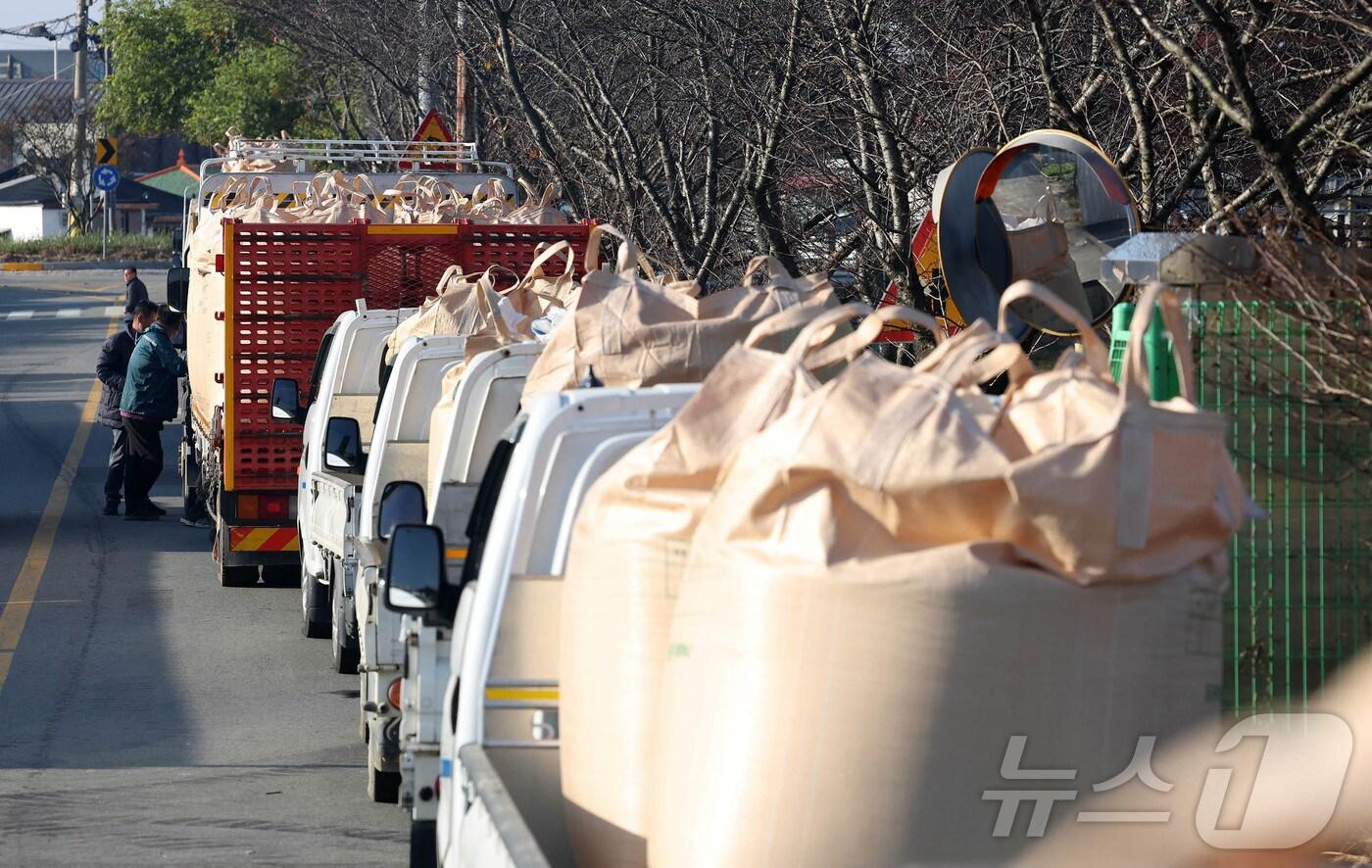 &#40;뉴스1 사진자료&#41;2024.11.11/뉴스1 ⓒ News1 