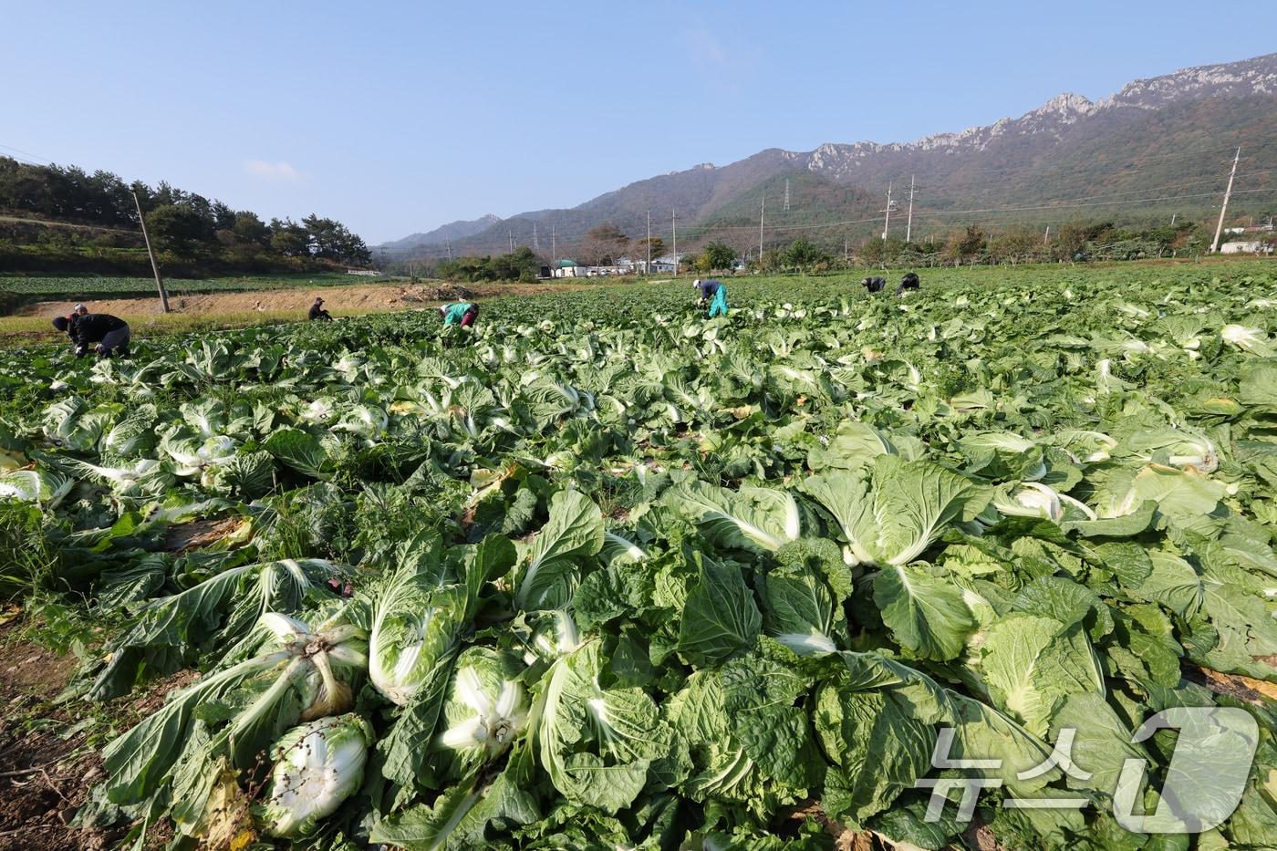 &#40;사진은 기사 내용과 무관함&#41; / 뉴스1