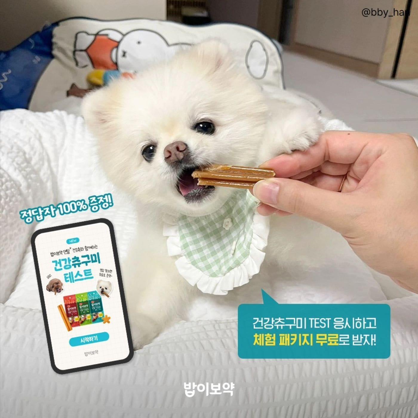 본문 이미지 - 하림펫푸드는 신제품 밥이보약 덴탈플러스 건강츄와 함께하는 '건강츄구미 테스트' 이벤트를 진행한다. (하림펫푸드 제공) ⓒ 뉴스1