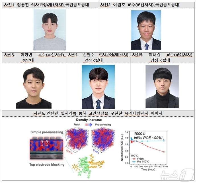본문 이미지 - 유기 태양전지 열 안전성을 획기적으로 개선한 고분자공학 이원호 교수팀(금오공대 제공) 2024.11.12/뉴스1