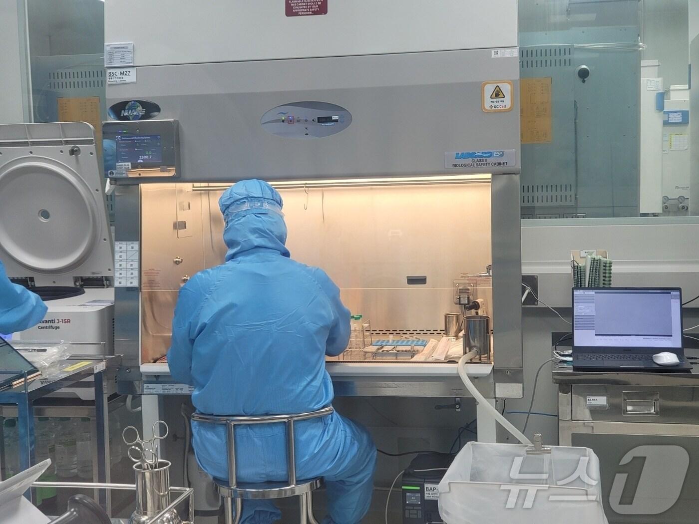 본문 이미지 - 지씨셀 임직원이 면역세포치료제 &#39;이뮨셀엘씨&#39; 제조를 위한 배지를 검사하고 있다. 2024. 11. 12/뉴스1 황진중 기자