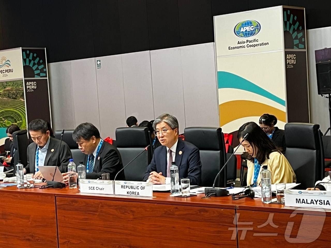 본문 이미지 - 김희상 외교부 경제외교조정관이  11~12일(현지시각) 페루 리마에서 개최된 아시아태평양경제협력체(APEC) 최종고위관리회의(CSOM)에 참석했다. (외교부 제공)