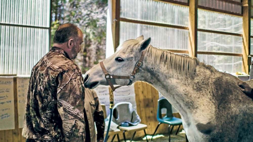 본문 이미지 - 참전용사와 말이 캐나다군 참전용사들이외상 후 스트레스 장애를 극복하도록 돕는 말을 이용한 치료 과정인 Can Praxis에서 훈련을 하고 있다. 2024.11.12/&lt;출처: Can Praxis 홈페이지&gt;