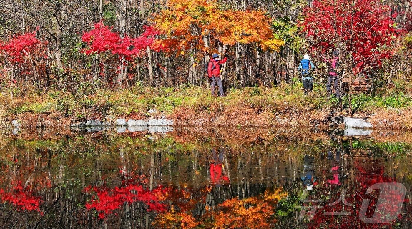 강원 인제군 기린면 진동리의 한 마을 . (인제군 제공) ⓒ News1 한귀섭 기자