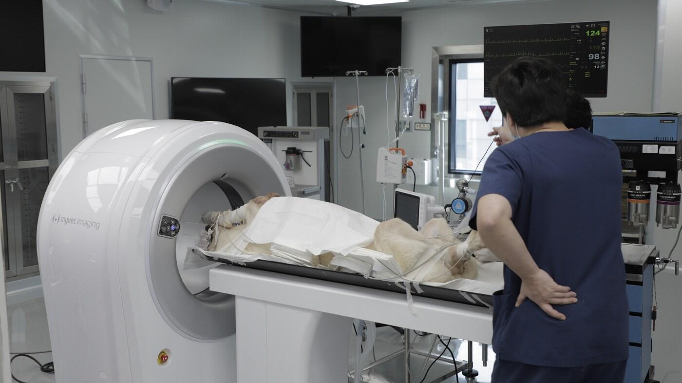 본문 이미지 - 동물용 영상 장비 및 솔루션 전문 기업 우리엔이 동물병원 전문 컴퓨터 단층 촬영(CT) 장비 '마이벳씨티플러스(MyVet CT Plus)'를 출시한다. (우리엔 제공) ⓒ 뉴스1