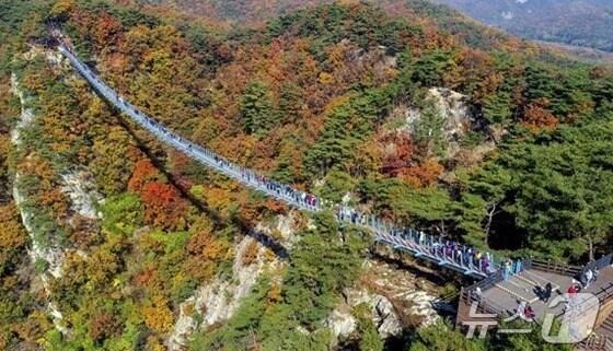 본문 이미지 - 강원 원주시 간현관광지 내 소금산그랜드밸리 자료사진. (뉴스1 DB)