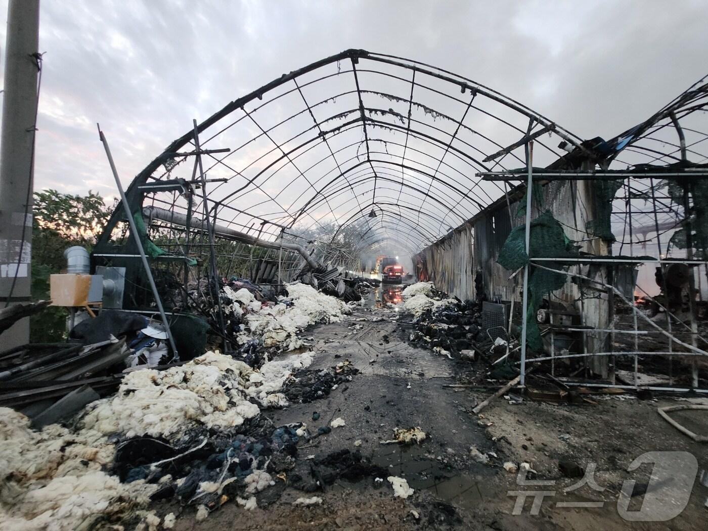 본문 이미지 - 14일 오후 3시쯤 부산 강서구 강동동에 있는 한 종이상자 제조 공장에서 난 불이 7시간여만에 완진됐다.(부산소방재난본부 제공)