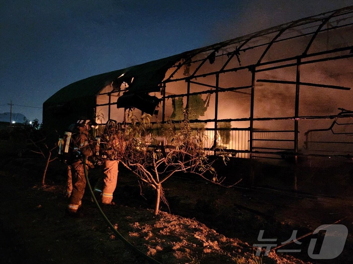 본문 이미지 - 14일 오후 11시 37분쯤 부산 강서구 식만동의 한 양돈장에서 불이 났다.(부산소방재난본부 제공) 