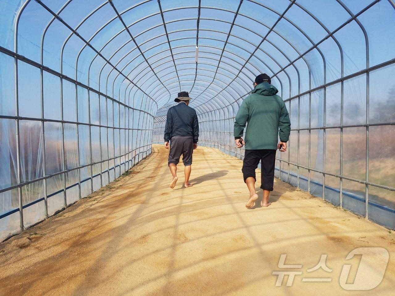 본문 이미지 - 계양꽃마루 맨발산책길(인천 계양구 제공)/뉴스1