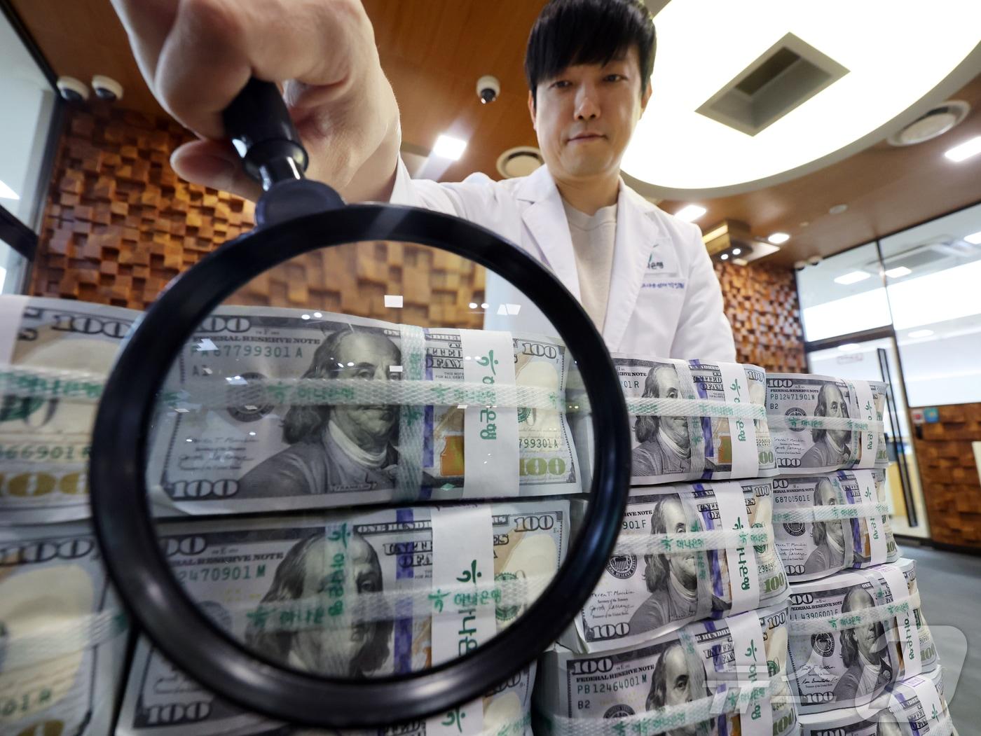 본문 이미지 - 15일 서울 중구 하나은행 위변조대응센터에서 은행 관계자가 달러화를 정리하고 있다. 2024.11.15/뉴스1 ⓒ News1 황기선 기자