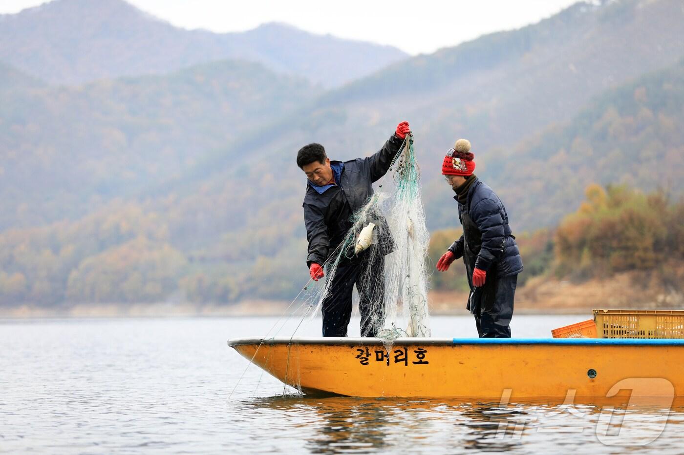 본문 이미지 -  어부 부부가  내수면에서 그물을 걷고 있다.(자료사진)ⓒ 뉴스1 