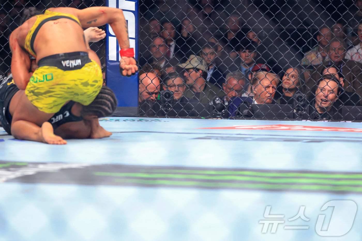 도널드 트럼프 미국 대통령 당선인이 일론 머스크 테슬라 최고경영자(CEO)와 함께 미국 뉴욕 매디슨 스퀘어 가든에서 열린 UFC 경기를 보고 있다. 24.11.16 ⓒ AFP=뉴스1 ⓒ News1 김예슬 기자