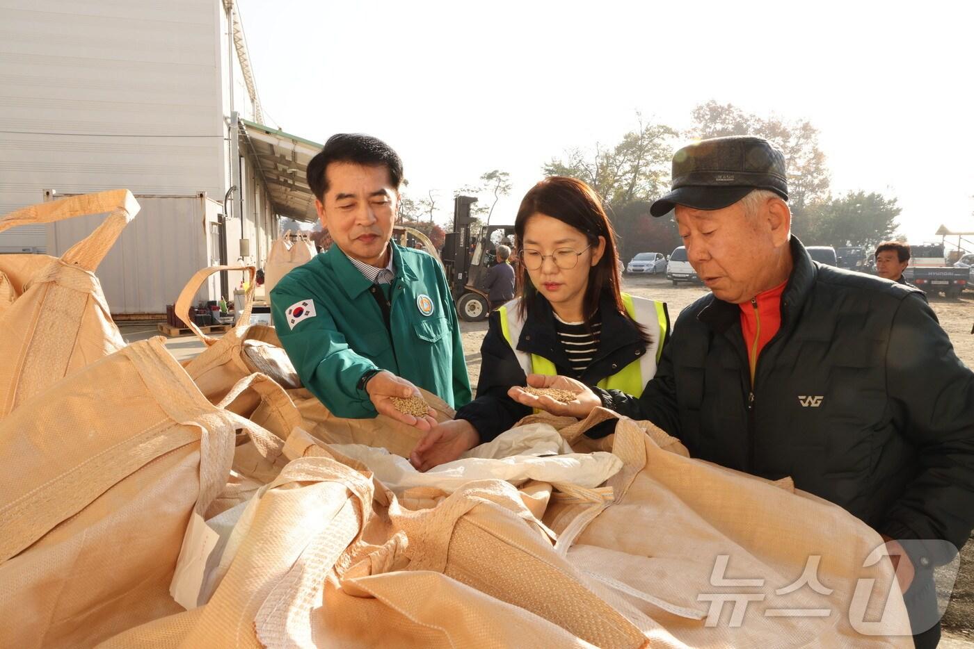 최재형 보은군수가 추곡수매 현장을 둘러보고 있다. (보은군 제공) /뉴스1 