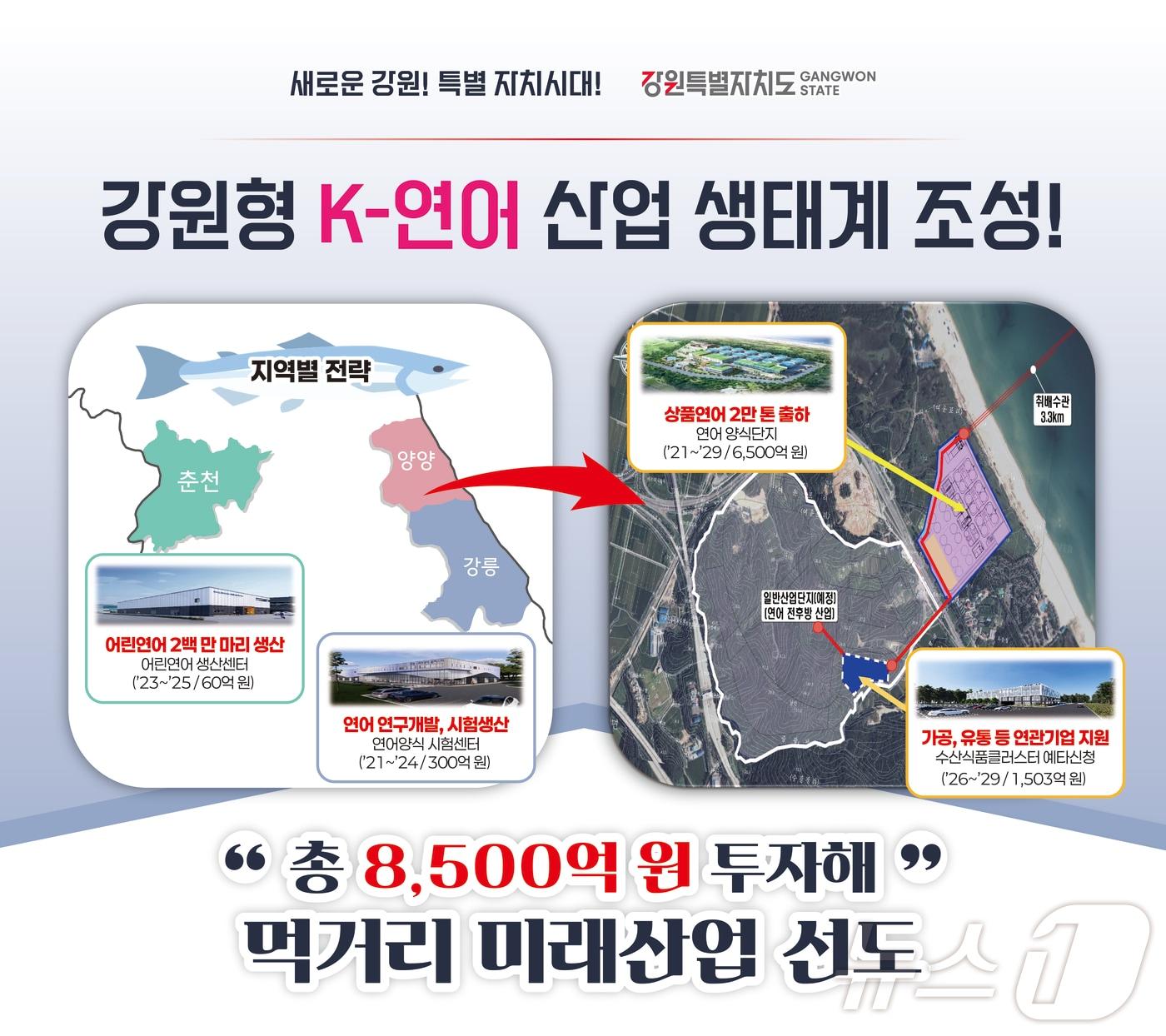 본문 이미지 - 강원형 K-연어 산업 생태계 조성.(강원도 제공)/뉴스1