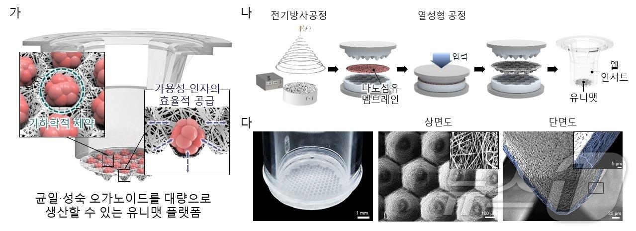 본문 이미지 - 유니맷 플랫폼의 모식도(가), 유니맷 제작 과정(다), 제작된 유니맷 플랫폼(나). (포항공대 제공)/뉴스1