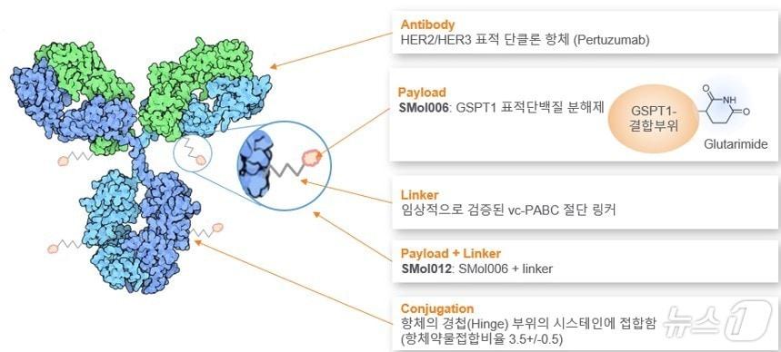 본문 이미지 - 오름테라퓨틱이 개발 중인 단백질분해제항체접합체(TDC) 'ORM-5029' 모식도.(오름테라퓨틱 제공)/뉴스1 ⓒ News1