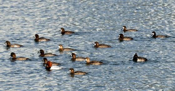 본문 이미지 - 사진은 기사 내용과 무관함.(자료사진)/뉴스1
