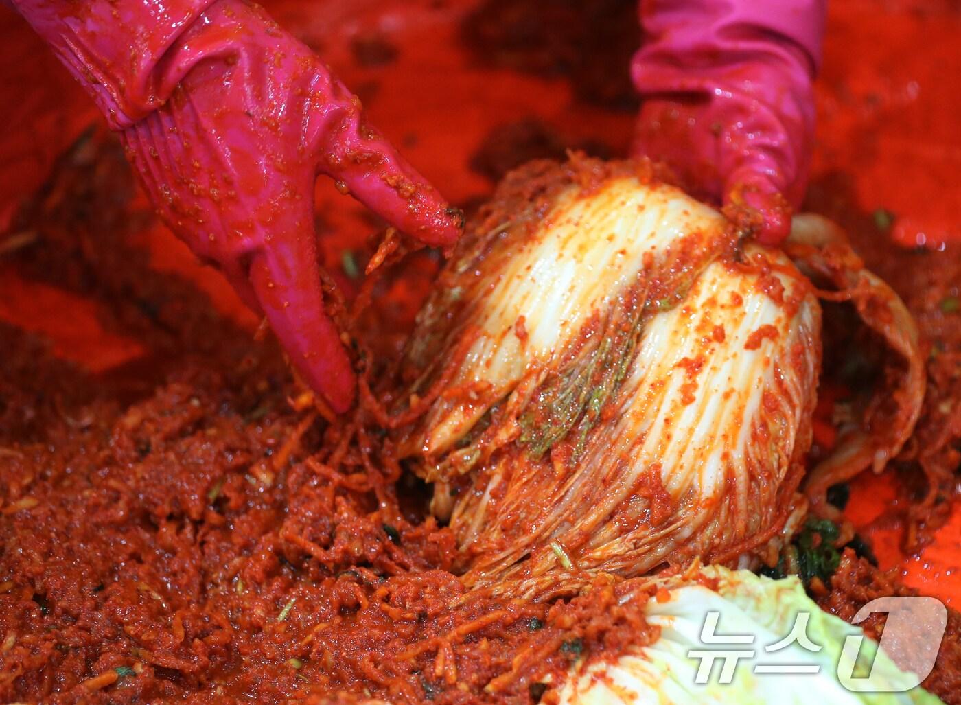 본문 이미지 - 뉴스1 ⓒ News1