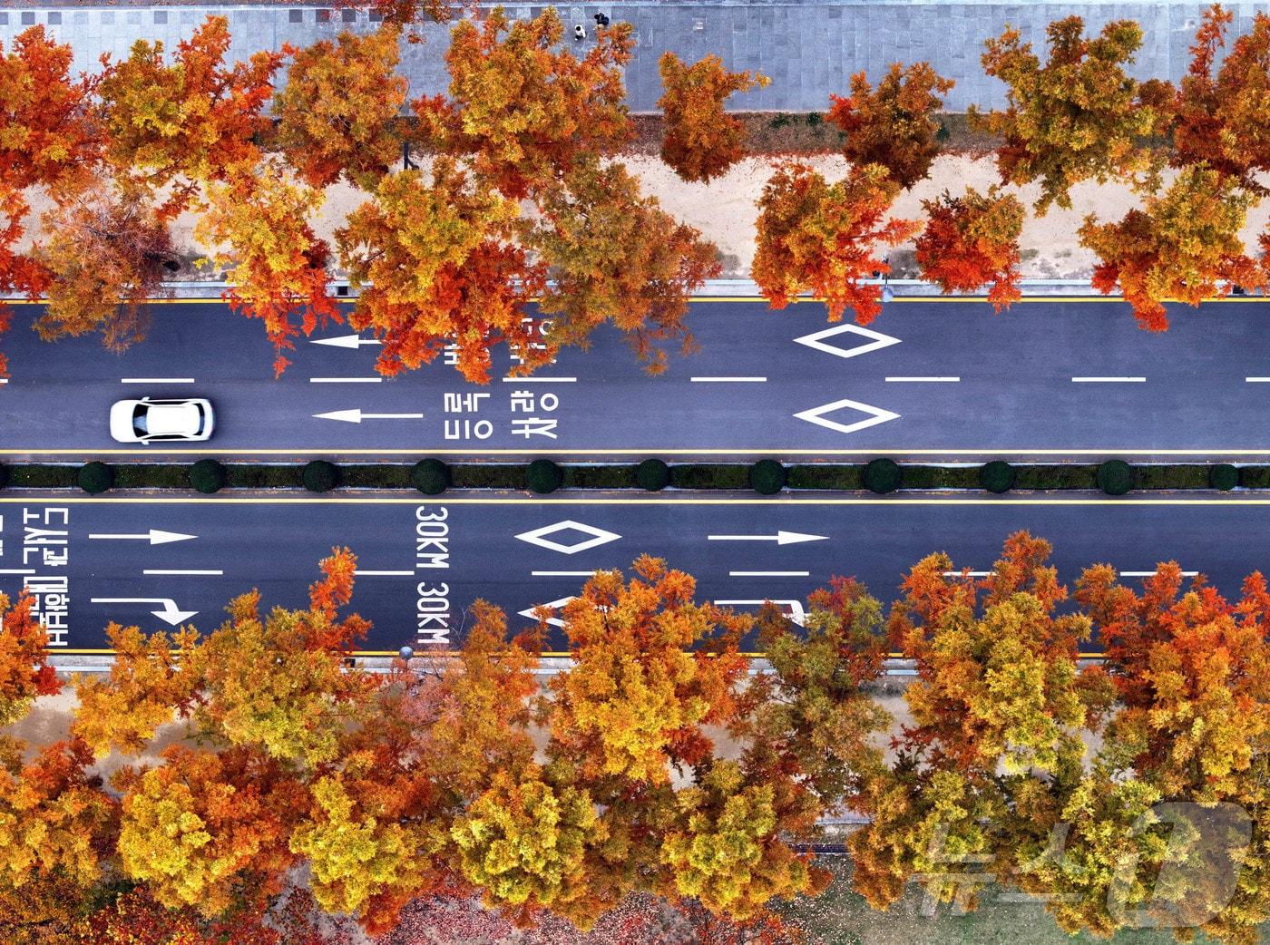 본문 이미지 - 자료사진/뉴스1 