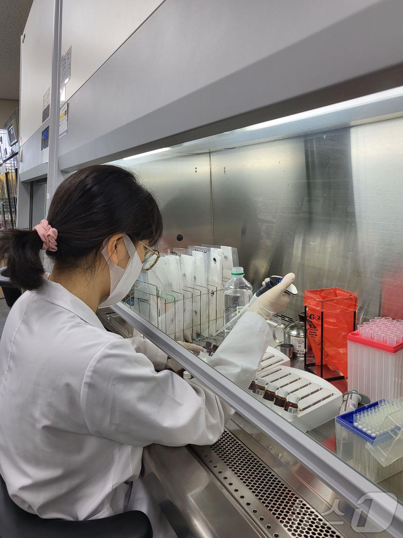 본문 이미지 - 축산물 검사 모습.(전남도 제공) 2024.11.22/뉴스1