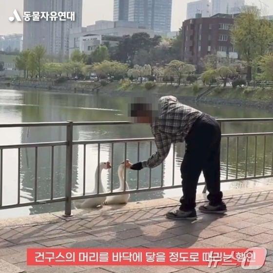 본문 이미지 - (동물자유연대 블로그 갈무리)