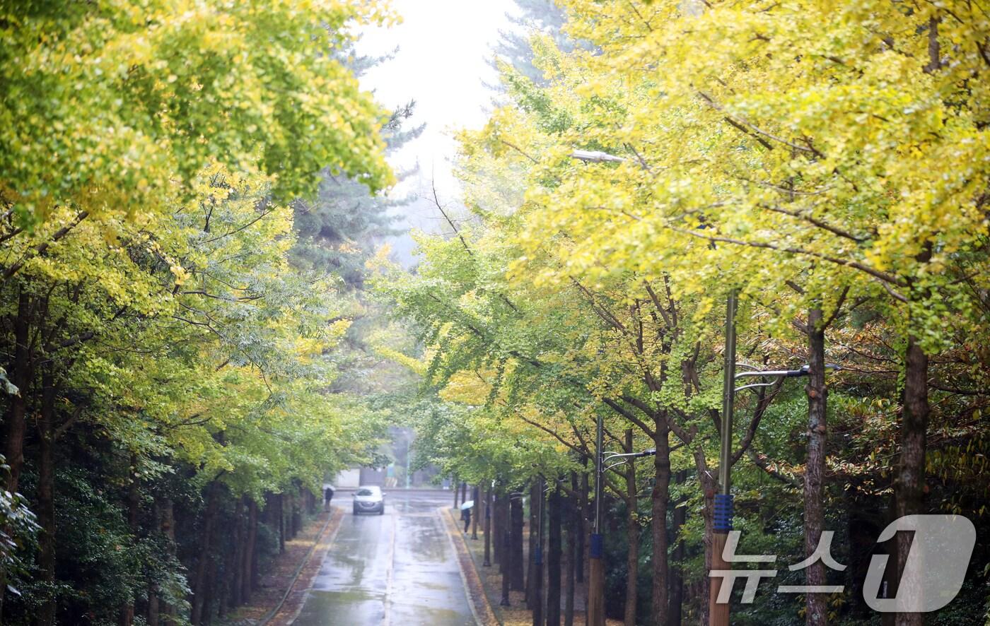 자료사진. ⓒ News1 